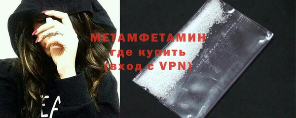 индика Нея