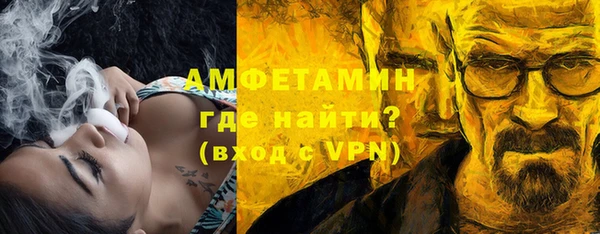 индика Нея